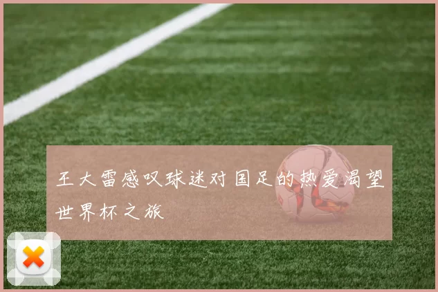 王大雷感叹球迷对国足的热爱渴望世界杯之旅