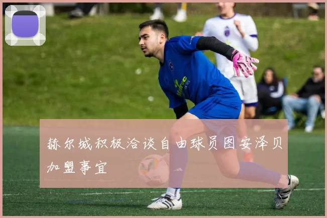 赫尔城积极洽谈自由球员图安泽贝加盟事宜