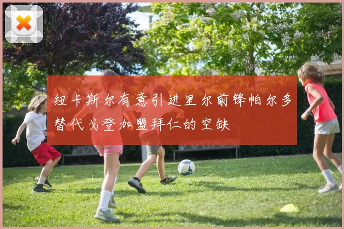 纽卡斯尔有意引进里尔前锋帕尔多替代戈登加盟拜仁的空缺
